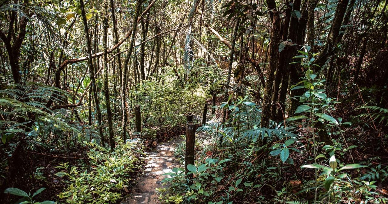 Hotel Guatape Adrianas Bambu Luaran gambar