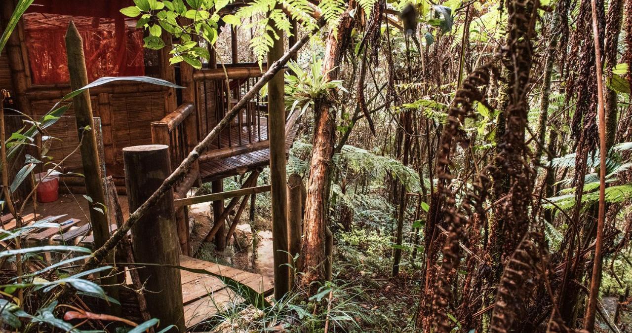 Hotel Guatape Adrianas Bambu Luaran gambar
