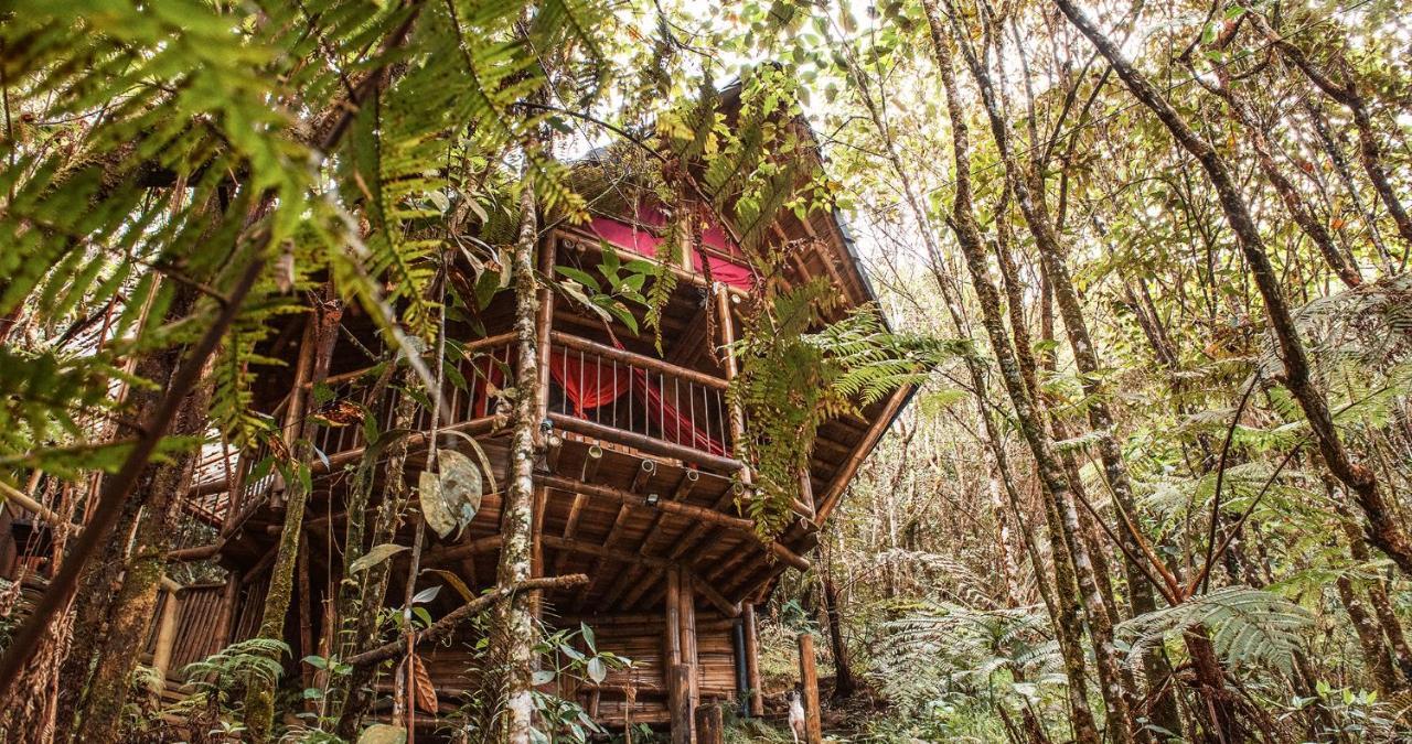 Hotel Guatape Adrianas Bambu Luaran gambar