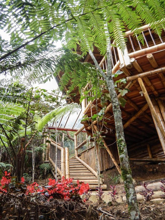 Hotel Guatape Adrianas Bambu Luaran gambar